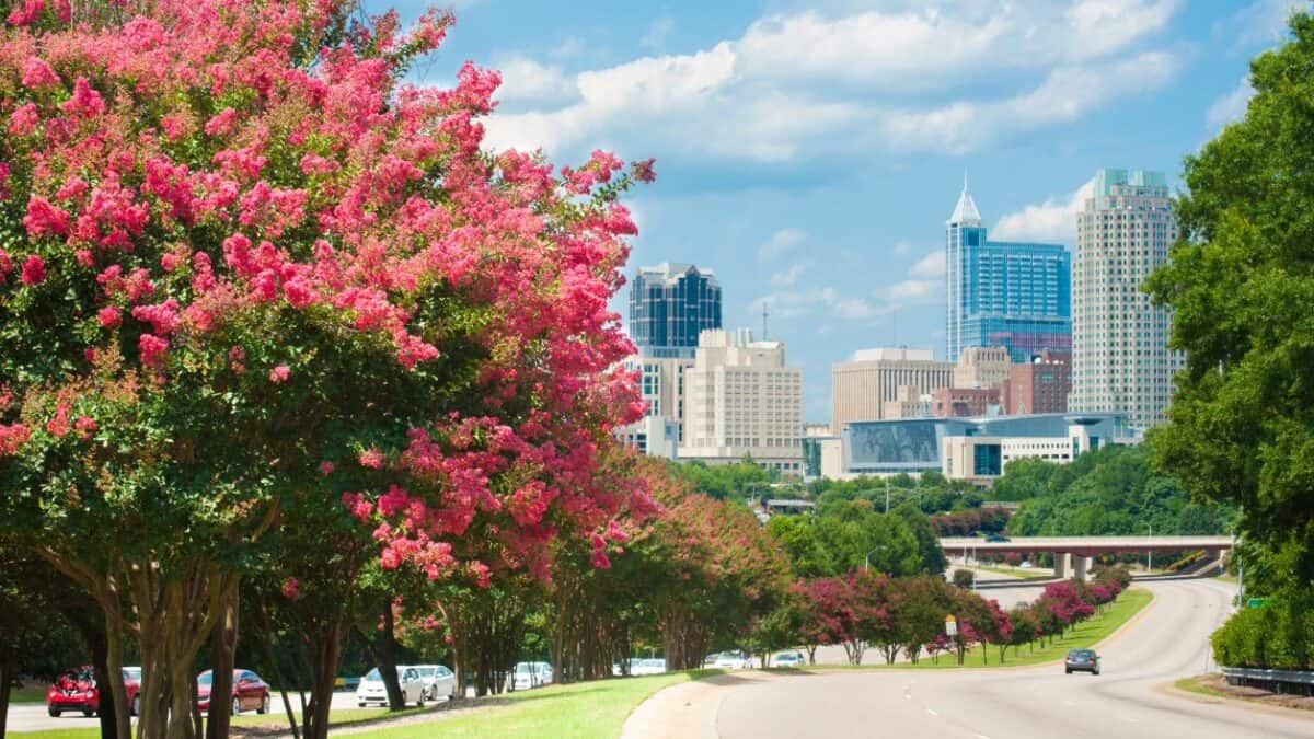 Learn how to spot signs your HVAC system struggled this summer and what to do before fall.